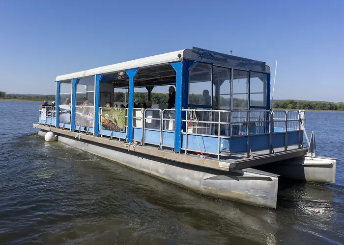 Chestnut Mountain Resort